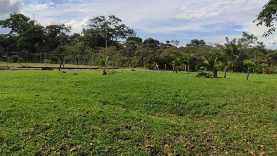 Foto Terreno en Venta en PocoJimenez, Pococ, Limn - ¢ 25.000.000 - TEV37084 - BienesOnLine