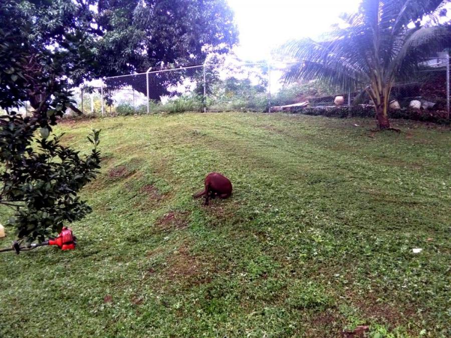 Foto Terreno en Venta en Santa Rita, Orotina, Alajuela - ¢ 21.000.000 - TEV58380 - BienesOnLine