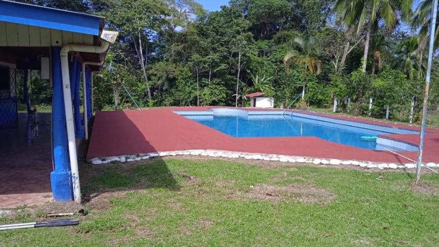 Foto Finca en Venta en Siquirres, Limón - ¢ 80.000.000 - FIV105787 - BienesOnLine