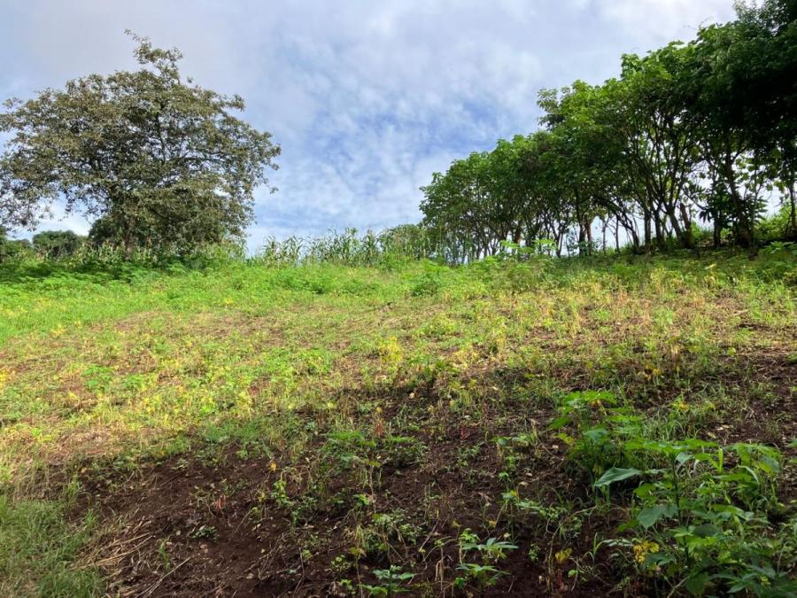 Foto Terreno en Venta en Sabana larga, Atenas, Alajuela - ¢ 90.000.000 - TEV103217 - BienesOnLine