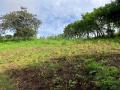 Terreno en Venta en Sabana larga Atenas