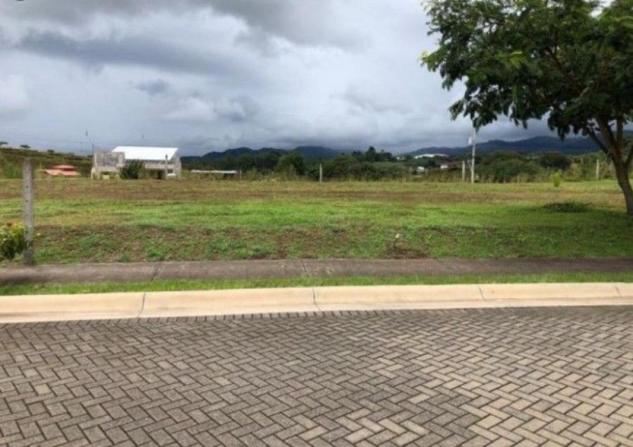 Foto Terreno en Venta en Puente Piedra, Grecia, Alajuela - U$D 50.000 - TEV105801 - BienesOnLine