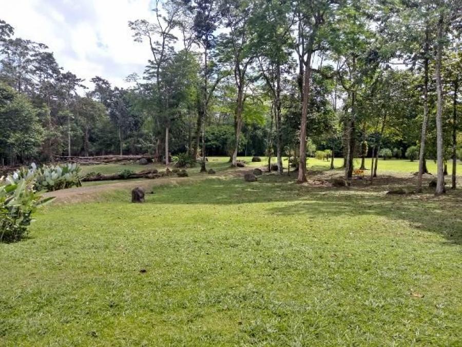 Foto Terreno en Venta en Guapiles, Pococ, Limn - U$D 138.000 - TEV39199 - BienesOnLine