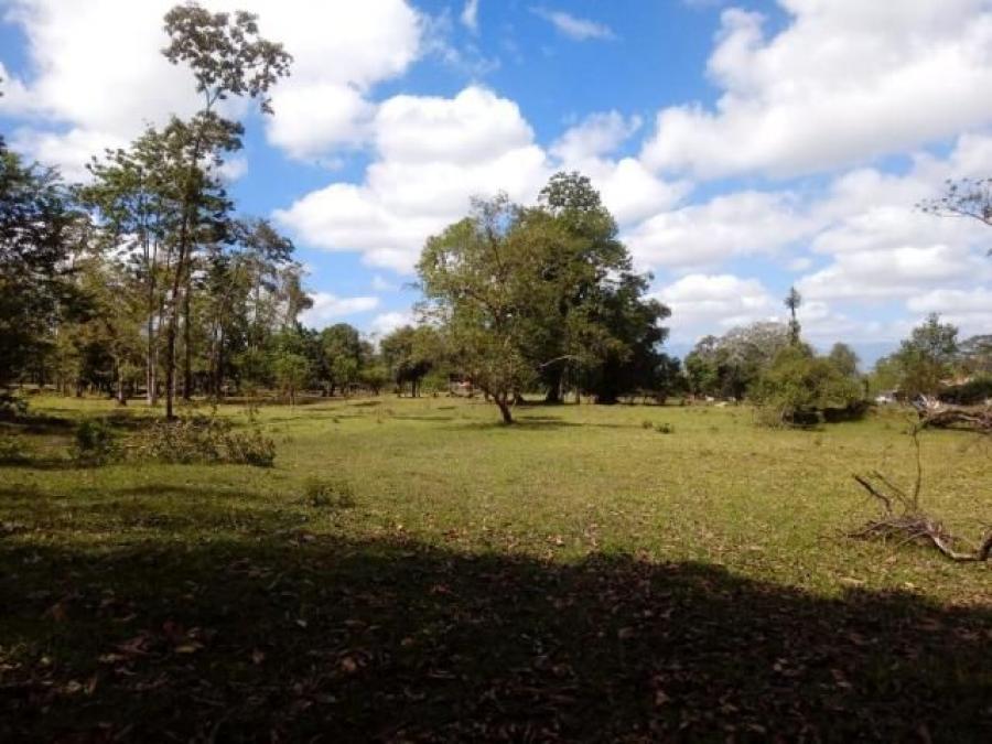 Excelente Finca en Toro Amarillo en Guápiles, En Venta   CG-20-657