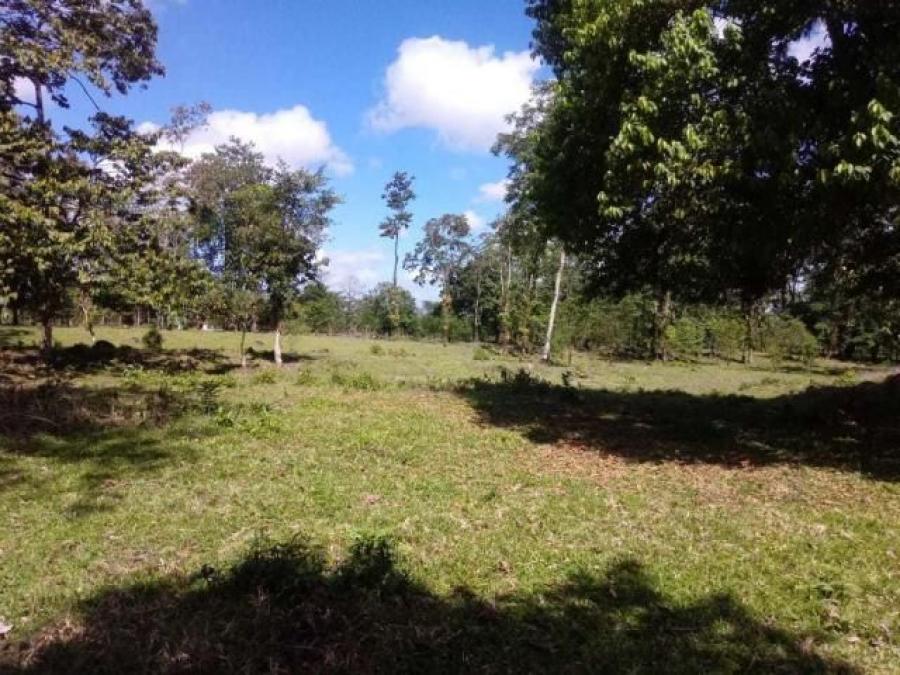 Foto Terreno en Venta en Toro Amarillo de Guapiles, Pococ, Limn - ¢ 360.000.000 - TEV61911 - BienesOnLine