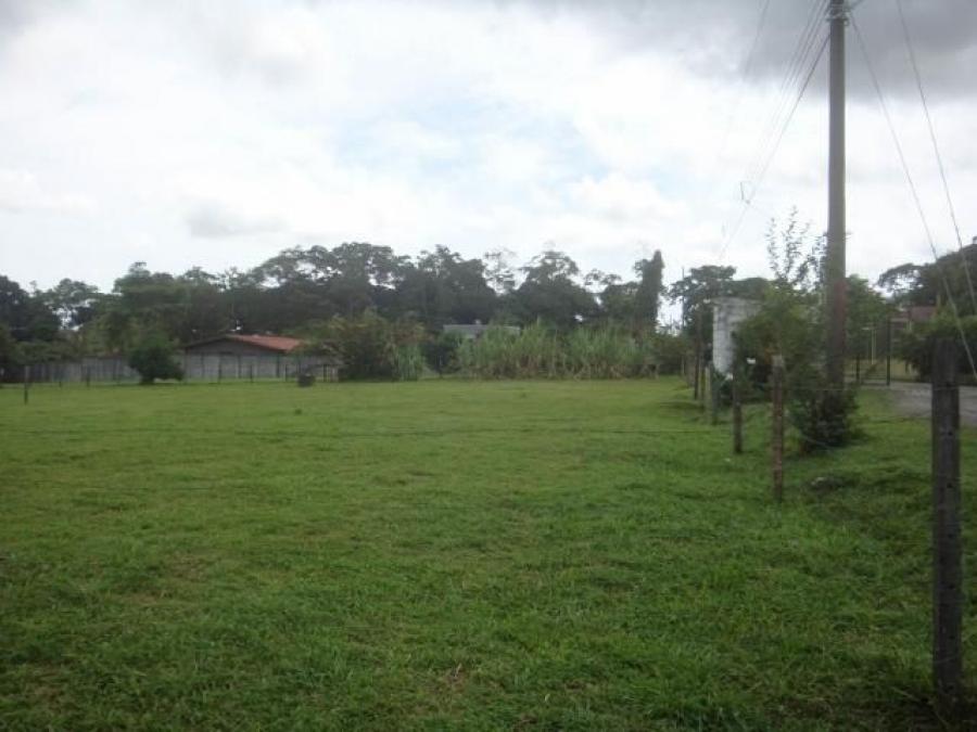 Excelente terreno en Guápiles Centro, En Venta.  CG-20-1190