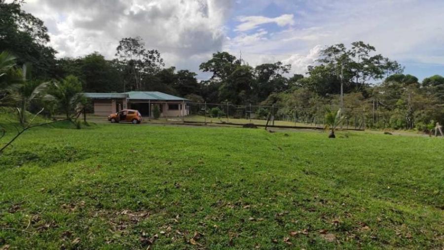 Foto Terreno en Venta en PocoJimenez, Pococí, Limón - ¢ 25.000.000 - TEV38908 - BienesOnLine