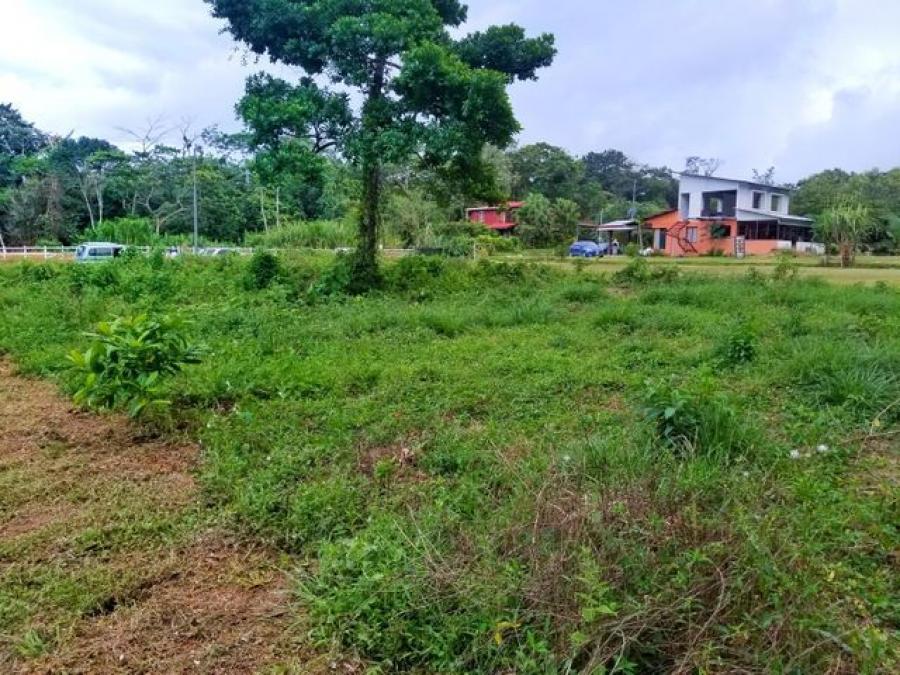 Foto Terreno en Venta en Guapiles, Pococ, Limn - U$D 29.360 - TEV54673 - BienesOnLine