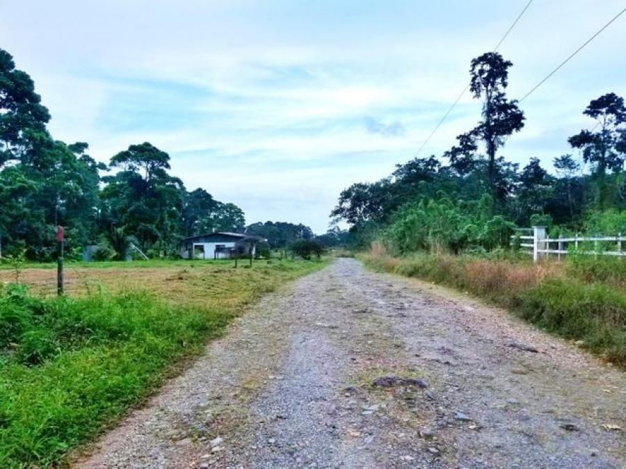 Foto Terreno en Venta en Los Tribunales Guapiles, Pococí, Limón - U$D 29.360 - TEV54405 - BienesOnLine