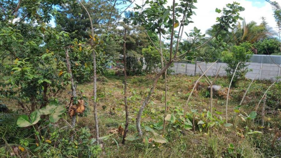 Foto Terreno en Venta en Guapiles, Pococ, Limn - U$D 19.500 - TEV54386 - BienesOnLine