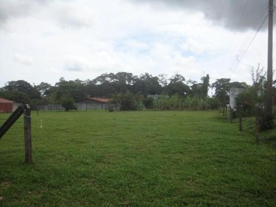 Foto Terreno en Venta en Calle Buenos Aires de Guapiles, Pococ, Limn - U$D 70.000 - TEV54422 - BienesOnLine