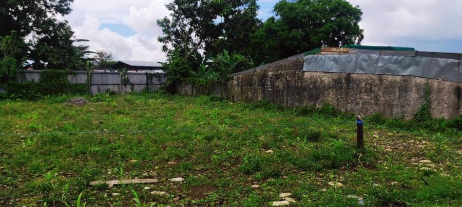 Foto Terreno en Venta en Lomas de Guapiles, Pococ, Limn - U$D 19.500 - TEV58371 - BienesOnLine