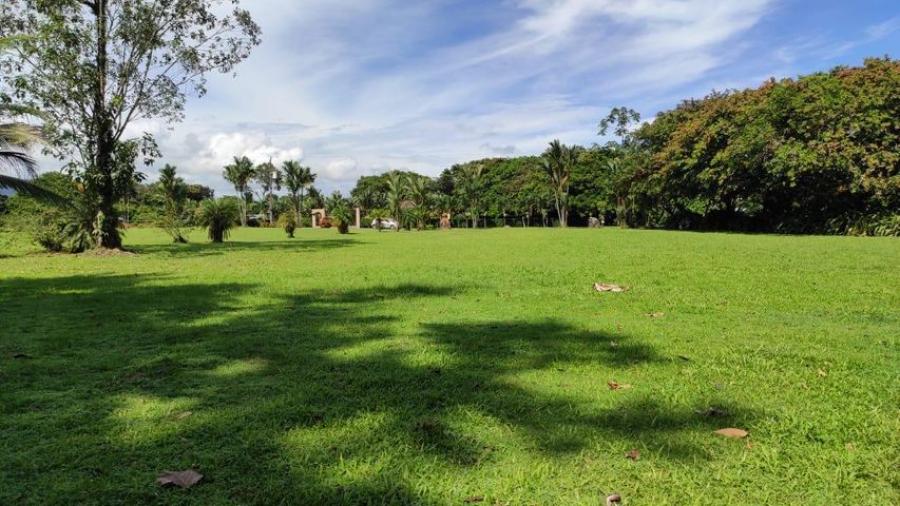 Foto Terreno en Venta en Guapiles, Pococ, Limn - U$D 100.000 - TEV54001 - BienesOnLine