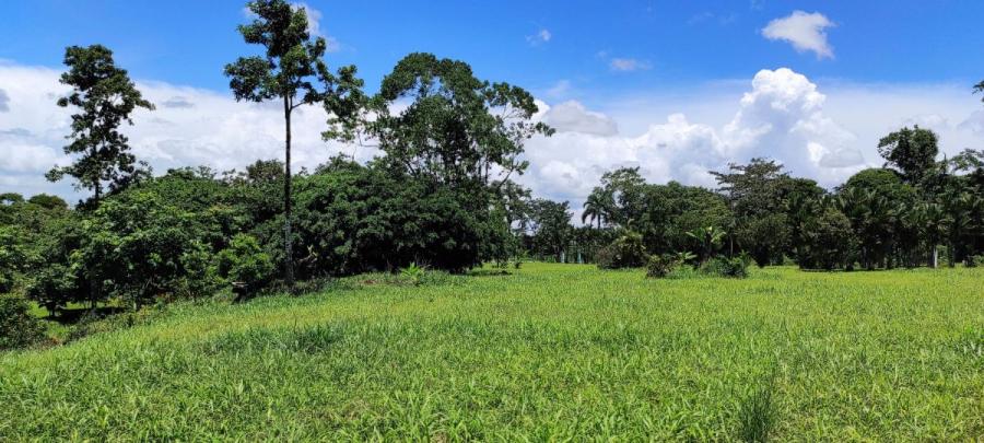 Foto Terreno en Venta en Macadamia de Guapiles, Pococí, Limón - ¢ 60.000.000 - TEV62568 - BienesOnLine