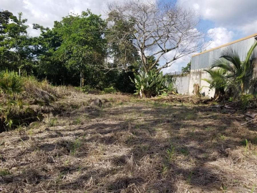 Foto Terreno en Venta en Guapiles, Pococ, Limn - U$D 28.000 - TEV54401 - BienesOnLine