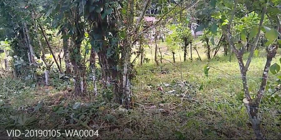 Foto Terreno en Venta en GUAPlayaNegra, Limón, Limón - U$D 29.000 - TEV48660 - BienesOnLine