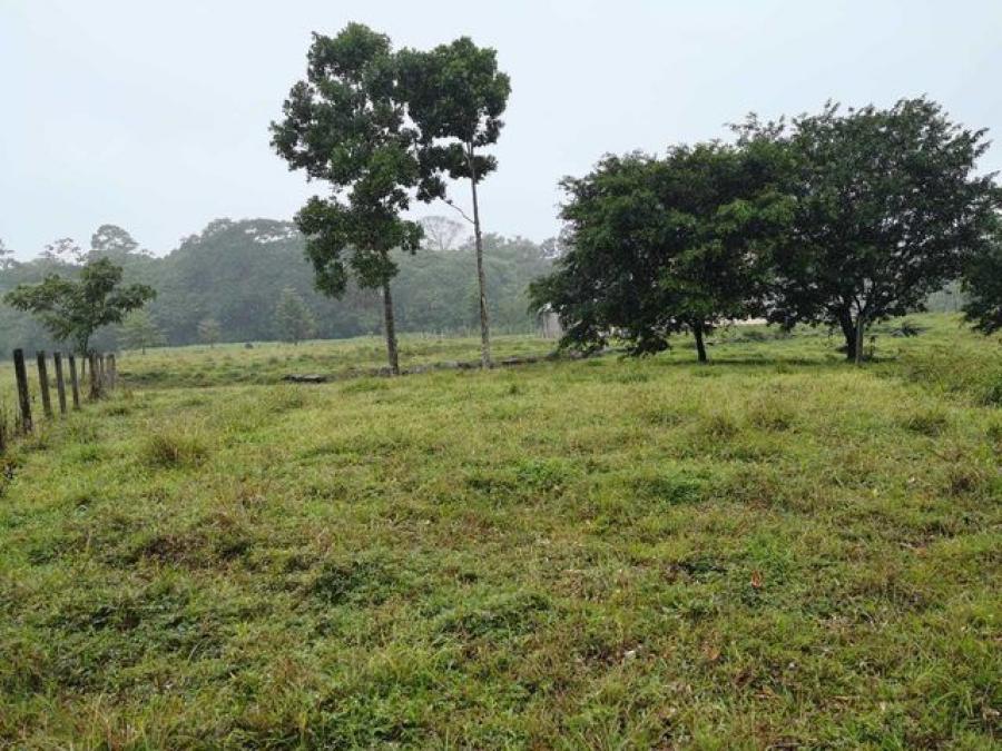 Foto Terreno en Venta en Guapiles, Pococ, Limn - U$D 73.500 - TEV53853 - BienesOnLine