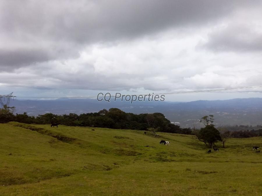 Finca en Carrizal/Santa Barbara, 18.7 hectareas