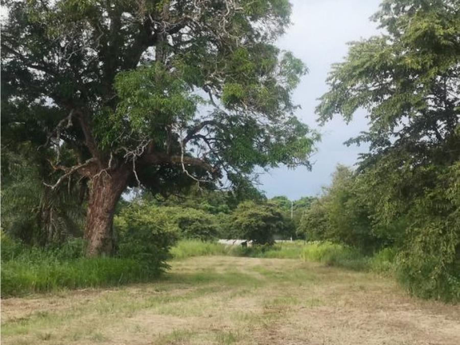 Foto Finca en Venta en Liberia, Guanacaste - U$D 3.800.000 - FIV107986 - BienesOnLine