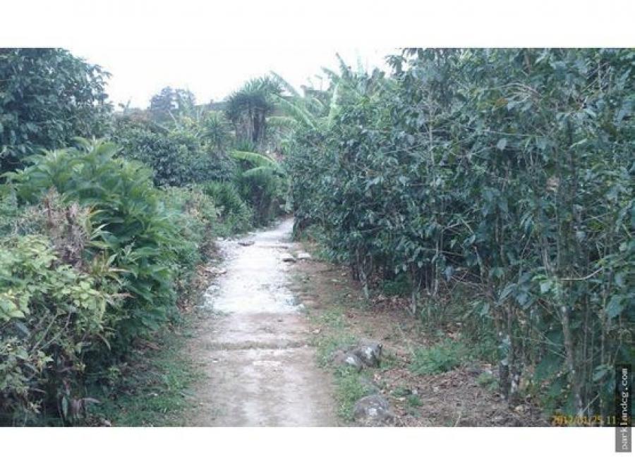 Foto Finca en Venta en Tres Rios, Cartago - U$D 1.355.000 - FIV105794 - BienesOnLine