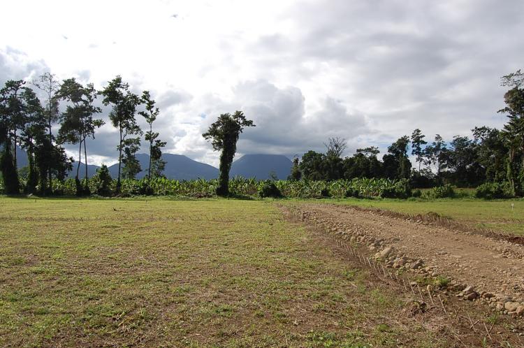 Foto Terreno en Venta en EL BOSQUE, Fortuna, Alajuela - ¢ 15.000.000 - TEV338 - BienesOnLine