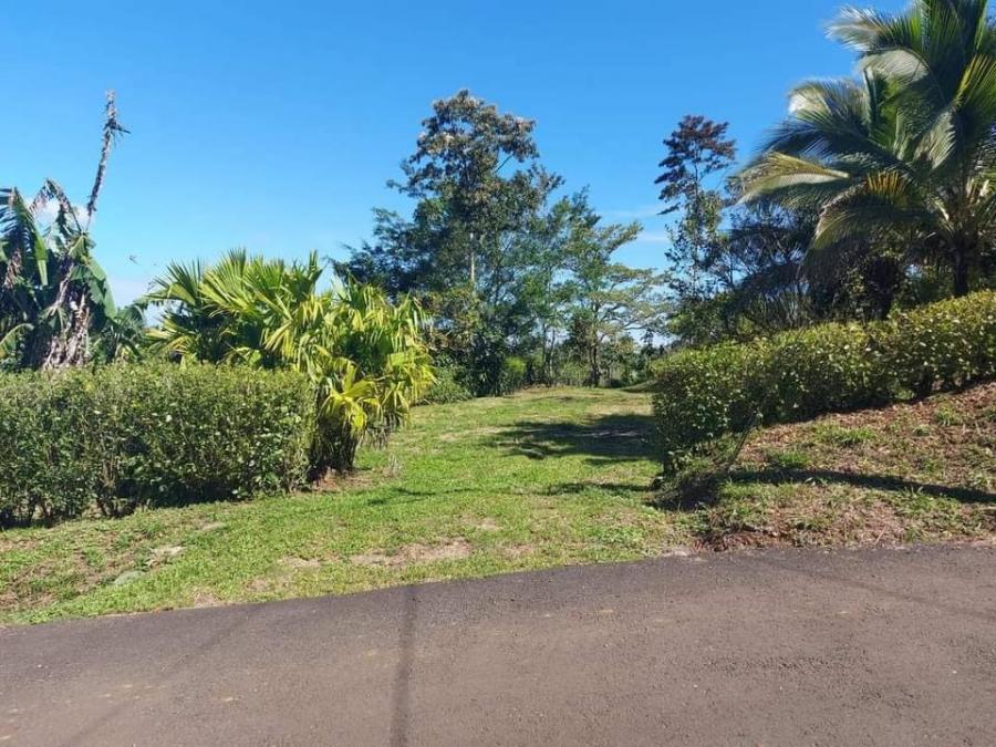 Foto Terreno en Venta en Florencia, San Carlos, Alajuela - ¢ 21.500.000 - TEV101790 - BienesOnLine