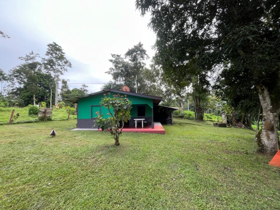 Foto Finca en Venta en Sabalito, Monterrey, Alajuela - ¢ 50.000.000 - FIV104374 - BienesOnLine