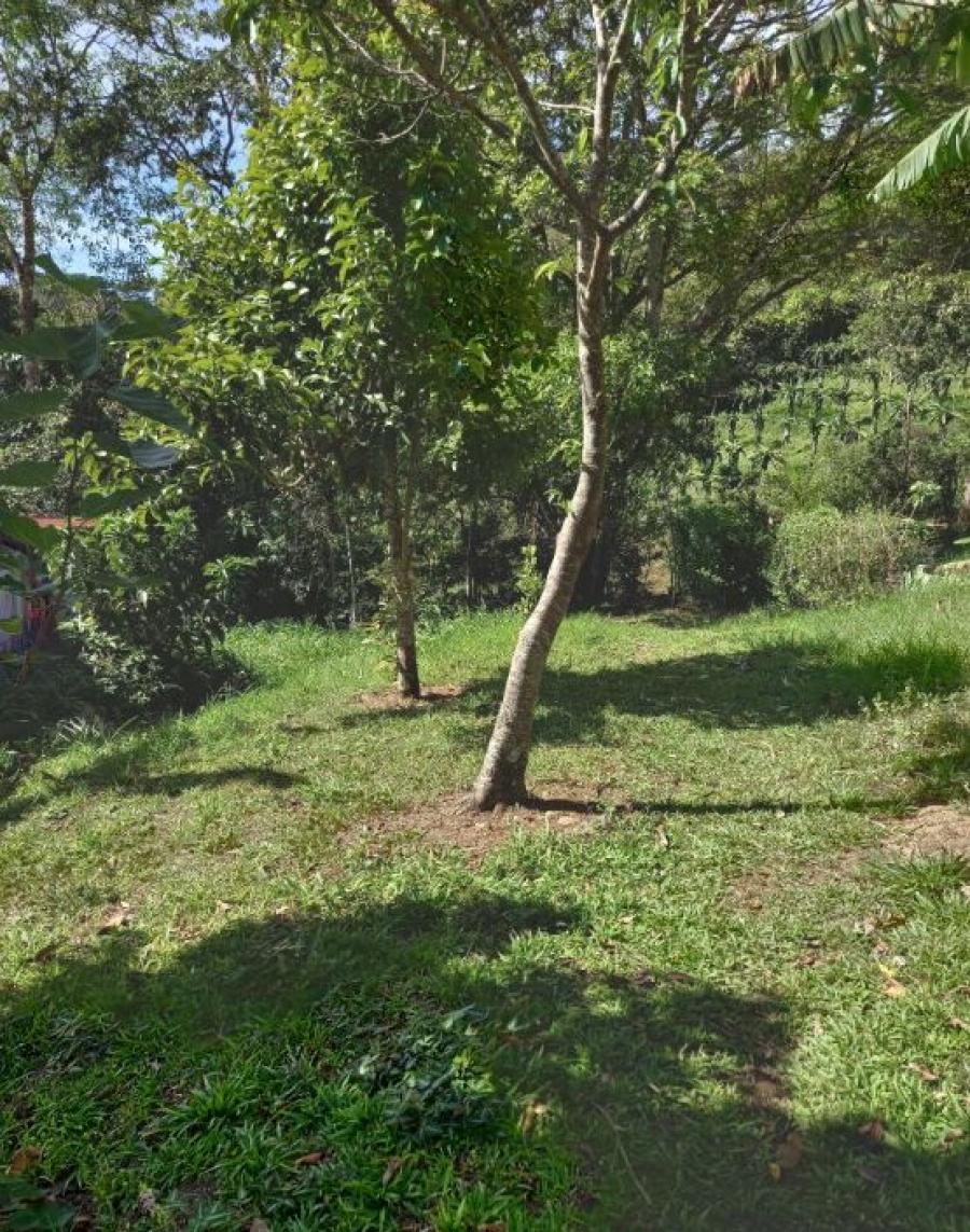 Foto Terreno en Venta en Palmares, Alajuela - ¢ 36.000.000 - TEV112725 - BienesOnLine