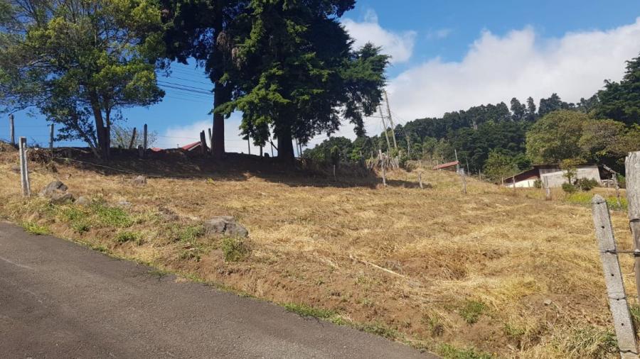 Foto Terreno en Venta en Zarcero, Alajuela - U$D 42.000 - TEV105736 - BienesOnLine