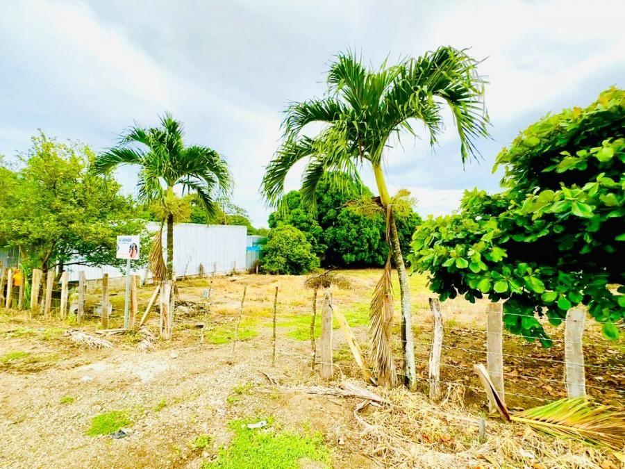 Foto Terreno en Venta en Guanacaste, Tamarindo, Guanacaste - U$D 130.000 - TEV103618 - BienesOnLine