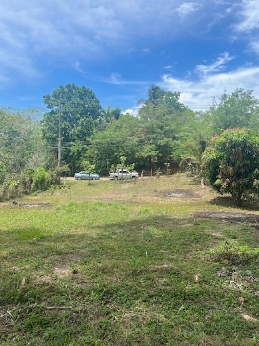 Foto Terreno en Venta en Las Delicias, Cobano, Puntarenas - ¢ 46.000.000 - TEV77292 - BienesOnLine