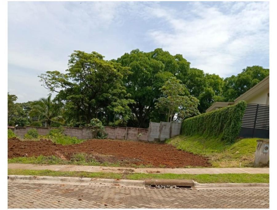 Foto Terreno en Venta en La Garita, Alajuela, Alajuela - ¢ 41.500.000 - TEV103404 - BienesOnLine