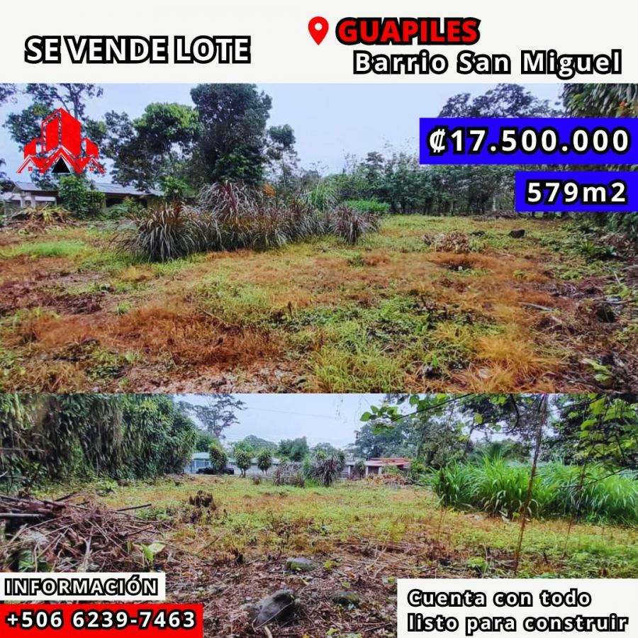 Foto Terreno en Venta en Guapiles, Gupiles, Limn - ¢ 17.500.000 - TEV101358 - BienesOnLine