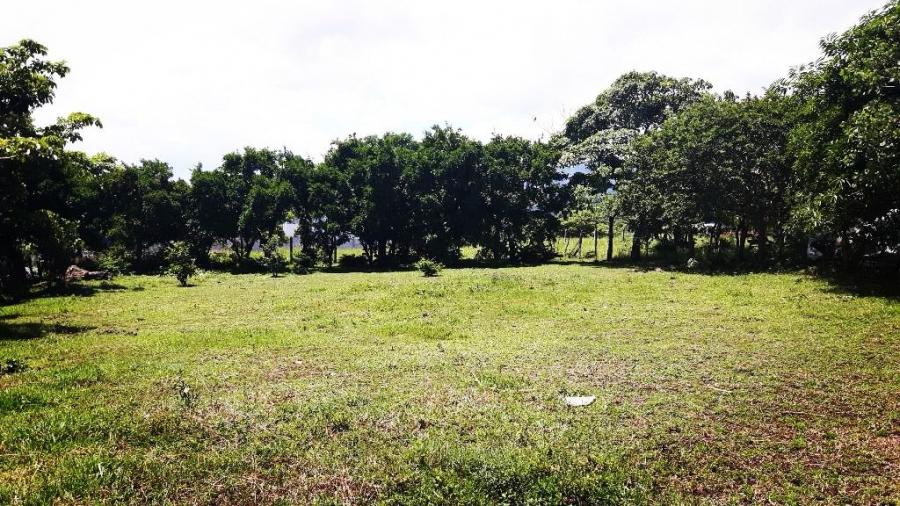 Foto Terreno en Venta en Piedades, Santa Ana, San Jos - ¢ 140.000.000 - TEV21368 - BienesOnLine