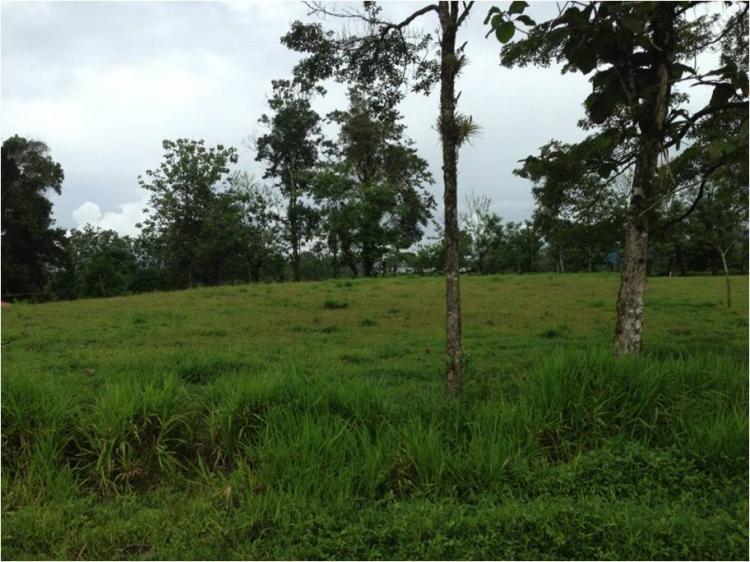 Foto Terreno en Venta en Venecia, Alajuela - U$D 40.000 - TEV3708 - BienesOnLine