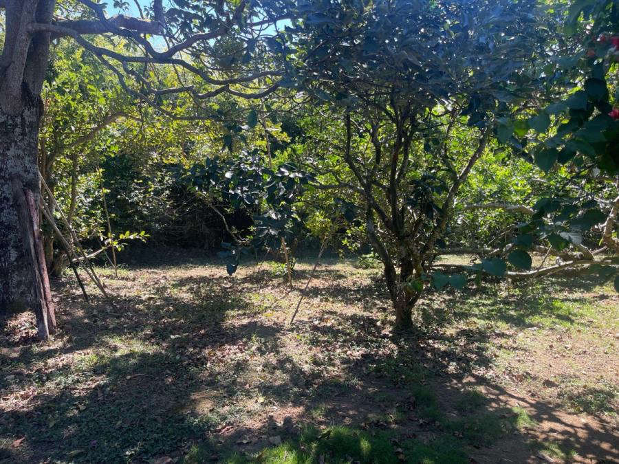 Foto Terreno en Venta en Curridabat, San José - U$D 180.000 - TEV102881 - BienesOnLine