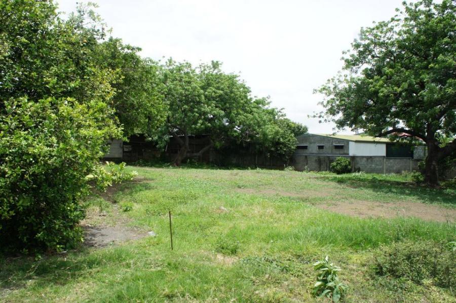 Foto Terreno en Venta en Santa Ana, San Jos - U$D 1.400.000 - TEV42401 - BienesOnLine