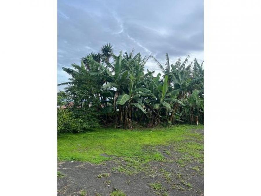 Foto Terreno en Venta en La Unión, Cartago - ¢ 110.000.000 - TEV106368 - BienesOnLine