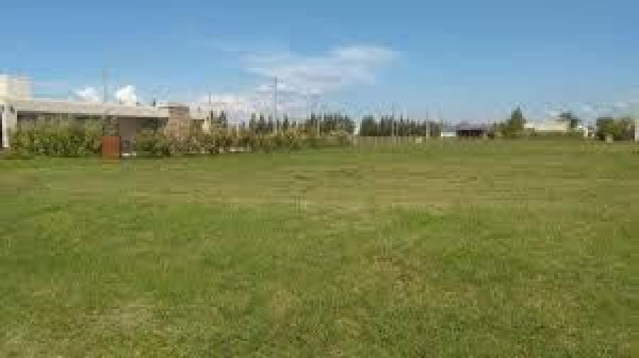 Foto Terreno en Venta en La Rita, Limn - ¢ 7.000.000 - TEV22992 - BienesOnLine