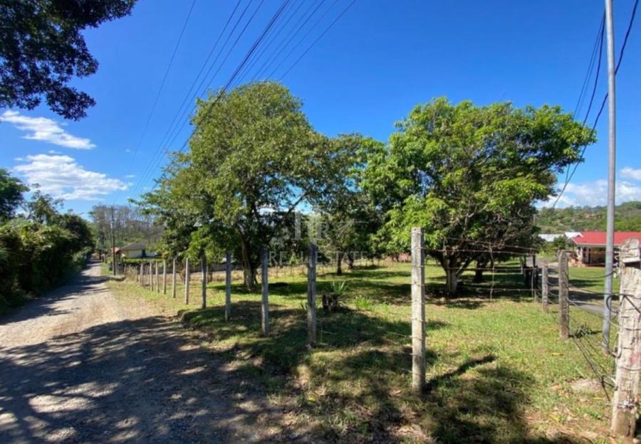 LOTE GRANDE EN VENTA, ALAJUELA, GRECIA