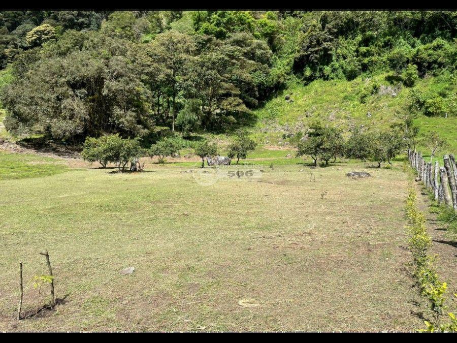 Foto Terreno en Venta en Monteverde, Monteverde, Puntarenas - U$D 220.000 - TEV100495 - BienesOnLine