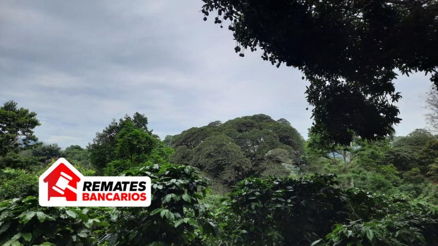 Foto Terreno en Venta en Naranjo, Alajuela, Alajuela - U$D 1.700.000 - TEV105507 - BienesOnLine