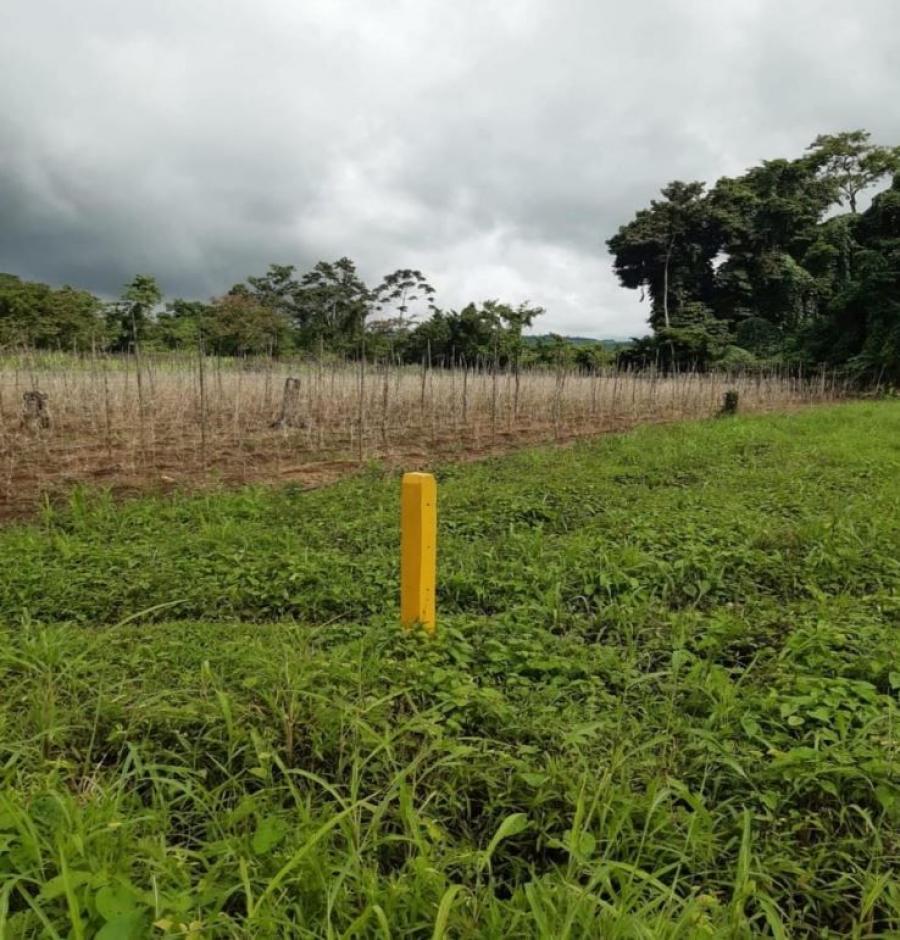 Foto Terreno en Venta en Aguas Claras, Upala, Alajuela - ¢ 11.500.000 - TEV109364 - BienesOnLine