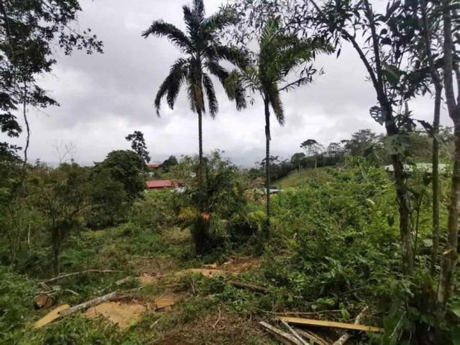 Foto Terreno en Venta en SAN JUAN TURRIALBA, SAN JUAN TURRIALBA, Cartago - U$D 375.500 - TEV68802 - BienesOnLine