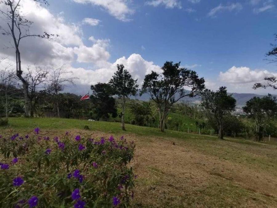 Foto Terreno en Venta en SAN JUAN TURRIALBA, SAN JUAN TURRIALBA, Cartago - ¢ 265.000.000 - TEV70504 - BienesOnLine