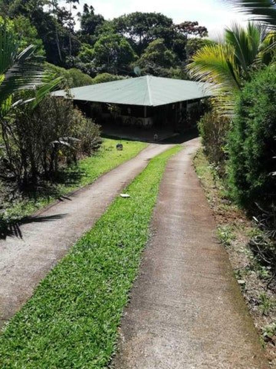 Foto Casa en Venta en PAVONES TURRIALBA, PAVONES TURRIALBA, Cartago - ¢ 79.999.999 - CAV71256 - BienesOnLine