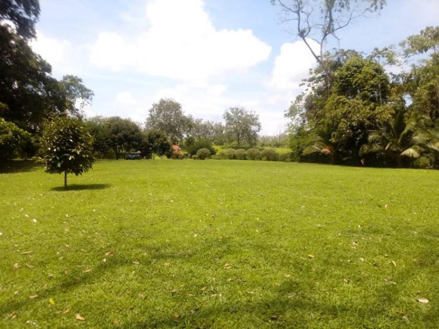 MLS-23-3535 LS VENTA LOTE DE 5.554MTS LA FORTUNA SAN CARLOS