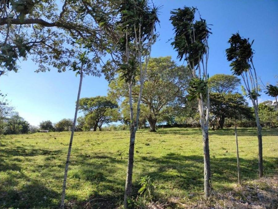 Foto Terreno en Venta en SAN RAFAEL HEREDIA, SAN RAFAEL HEREDIA, Heredia - U$D 274.500 - TEV101509 - BienesOnLine