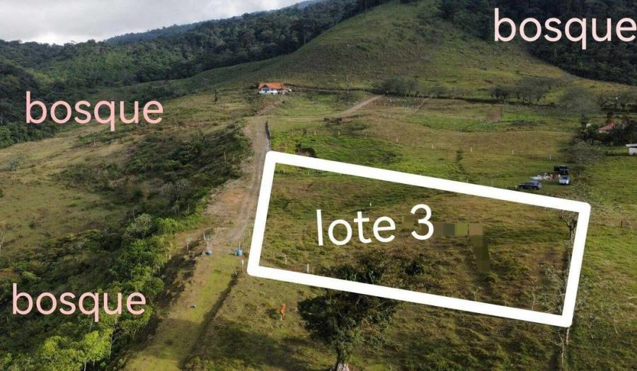 Foto Terreno en Venta en CIUDAD QUESADA SAN CARLOS, CIUDAD QUESADA SAN CARLOS, Alajuela - ¢ 35.000.000 - TEV105303 - BienesOnLine