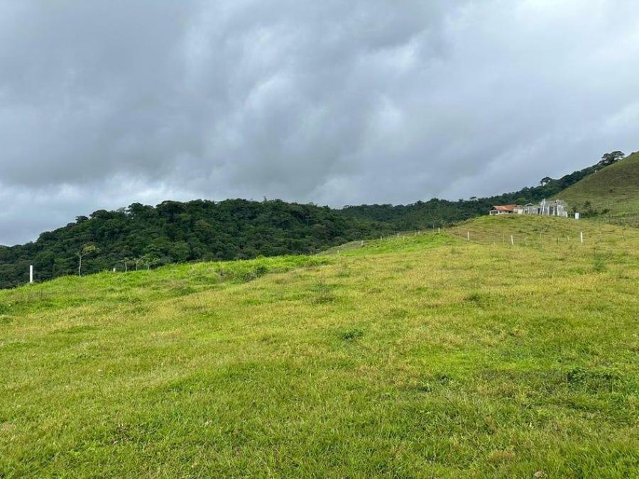 Foto Terreno en Venta en CIUDAD QUESADA SAN CARLOS, CIUDAD QUESADA SAN CARLOS, Alajuela - ¢ 33.000.000 - TEV105302 - BienesOnLine